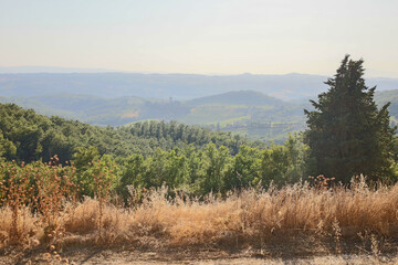 Toskana Ausblick auf Berge Hügel und Weinberge 