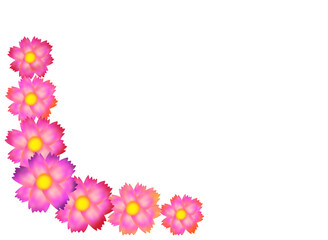 コスモスのフレーム