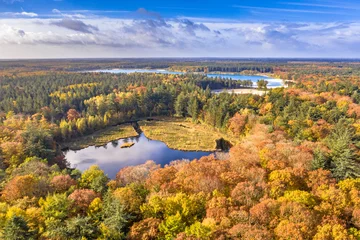 Fototapeten Aerial view of lakes in autumnal forest © creativenature.nl