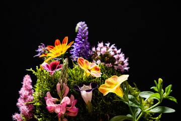flower on the black background
