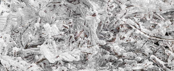 Fundo abstrato com galhos de árvore congelados. 