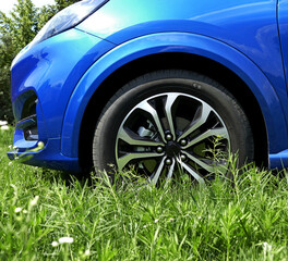 Naklejka premium Flattened Lawn Under Vehicle Wheel Detailed 