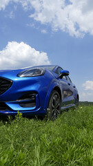 Blue Car On Green Grass Lower Point Of View