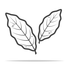 Bay leaf icon vector isolated