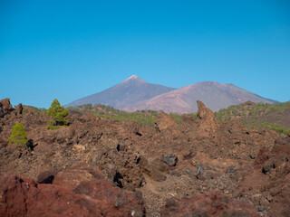 Tenerife, Teide volcano, mountain, Teide national park. Forests and mountains above the clouds.