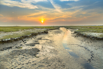 Tidal channel marshland Ameland