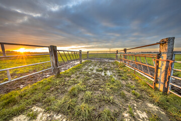 Sunset over gate in lowland meadow