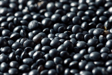 Healthy Organic Black Lentils
