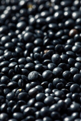 Healthy Organic Black Lentils