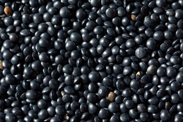 Healthy Organic Black Lentils