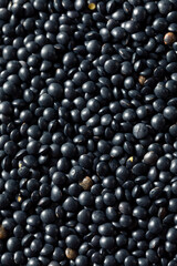Healthy Organic Black Lentils