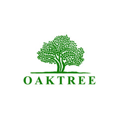 Obraz premium big oak tree logo design vector in green color