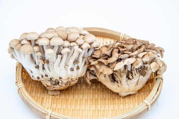 シメジとマイタケ