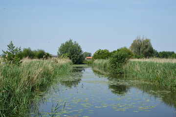 paysage