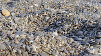 sea pebbles on a summer beach