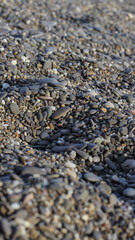 sea pebbles on the beach