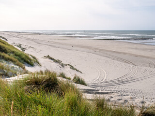 Beach with tire tracks and dunes at North Sea coast of West Frisian island Vlieland,  Netherlands