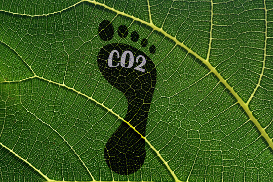 Concept illustrating carbon footprint, Barefoot footprint against leaf background with CO2 text written