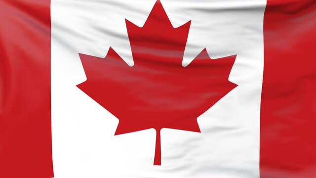 Canadian flag waving continuously in the wind. National flag of Canada fabric surface background. Seamless loop 3D animation. For news, Independence Day, elections, politics show, Presidents Day