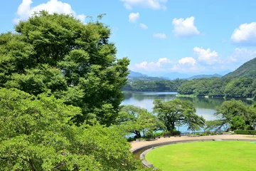 Papier Peint photo Vert-citron 津久井湖城山公園 水の苑地　神奈川県相模原市の風景 
