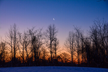 Winter Sky at Dawn