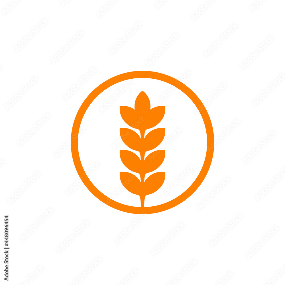 Wall mural Wheat plant logo design template