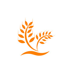 Wheat plant logo design template