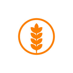 Wheat plant logo design template