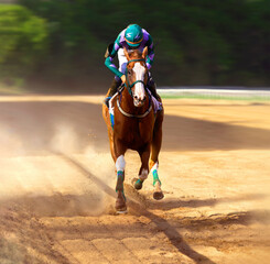 Jockey on racing horse. Sport. Champion. Hippodrome. Racetrack. Equestrian. Derby. Speed. Finish