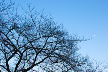 A photo of the blue sky where you can see the moon in the daytime 