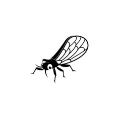 Cicada logo vector icon template