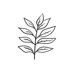 Hand drawn autumn leaves doodle colorless illustrations. Сute vector objects. Illustrations for poster, background or card.