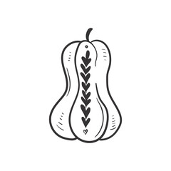 Hand drawn autumn pumpkin doodle colorless illustrations. Сute vector objects. Illustrations for poster, background or card.