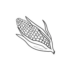 Hand drawn autumn corn doodle colorless illustrations. Сute vector objects. Illustrations for poster, background or card.