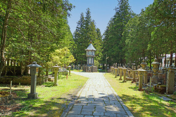 숲 속의 석등과 석묘