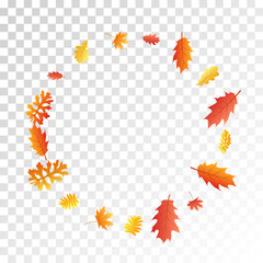 Oak, maple, wild ash rowan leaves vector, autumn foliage on transparent background.