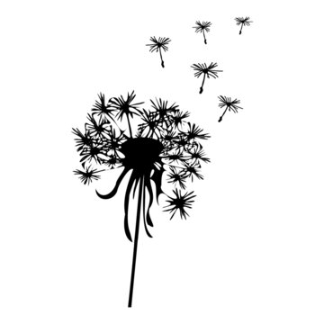 recommend clip art: Dandelion silhouette - vector illustration
