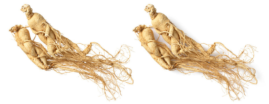 Dried ginseng roots isolated on white background, top view