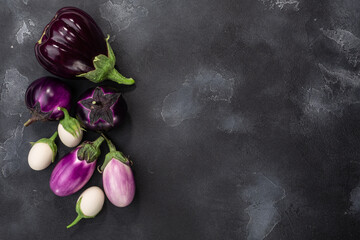 Aubergines or eggplants of different shapes and colors on dark grey background, top view, copy space