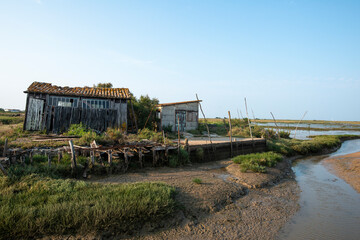 Obraz premium Site ostréicole, Fort Royer, Réserve naturelle maritime, Moêze Oléron, Ile d'Oléron, Charentes Maritimes, 17