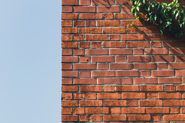 Red wall with green leaves.