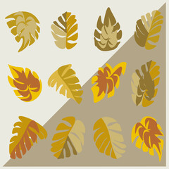 Set of autumn leaves. Yellow, orange, red leaves on the trees. Maple, birch, poplar, oak, aspen. All objects are isolated and can be moved.
