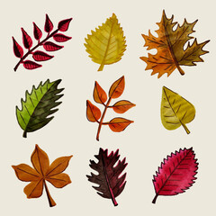 Set of autumn leaves. Yellow, orange, red leaves on the trees. Maple, birch, poplar, oak, aspen. All objects are isolated and can be moved.