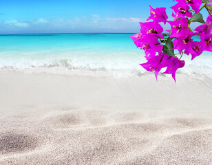 Bougainvillea purple flowers,tropical white sandy beach and turquoise sea.