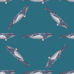 Seamless pattern lesser rorqual on teal background. Template of cartoon character of ocean for fabric.
