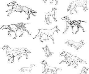Vector seamless pattern of hand drawn doodle sketch different dog breed isolated on white background