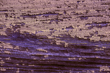 Mottled contrasting purple wood texture with scuffs and inclusions. Natural aged textured wood close-up