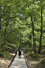 Un randonneur de dos sur un chemin en bois dans une forêt