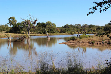Shimangwaneni Dam / Shimangwaneni Dam /