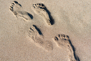 footprint of a human on the sandy beach, travel vacation concept